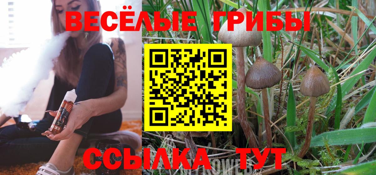 Россия  Псилоцибиновые грибы GOLDEN TEACHER  Вход с VPN 