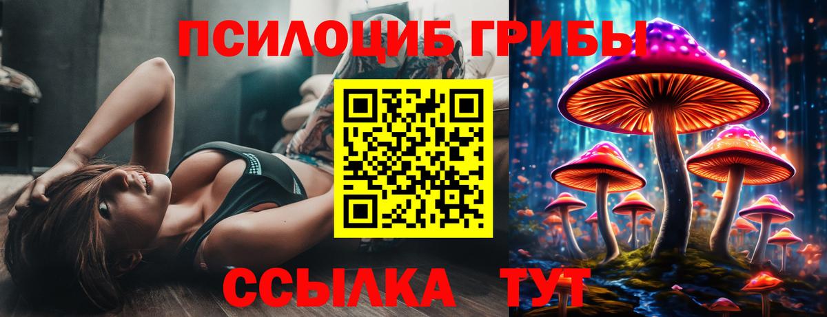 Псилоцибиновые грибы Cubensis Россия